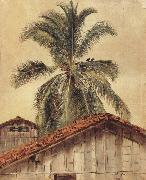 Frederic E.Church Palm Tres and Housetops,Ecuador painting